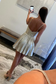 A-Line Halter Pleated Backless Metallic Satin Homecoming Dress