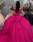 Fuchsia Sweet 16 Quinceanera Dresses Glittery Tulle 3D Flowers Party Dresses